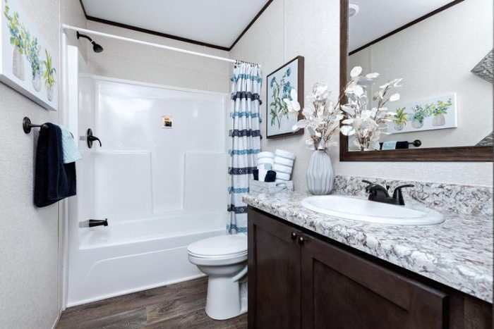 BigSteveGuestBath3