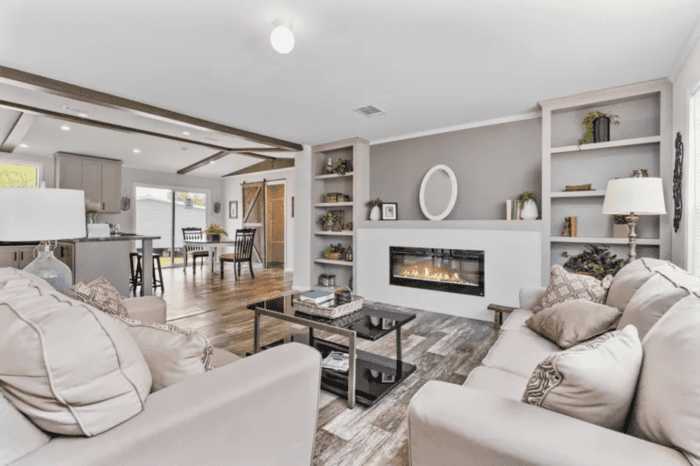 Poydras Living Room 1